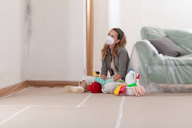 Reliable Mold Cleanup contractor in Cockeysville, MD by Cheap Mold Removal