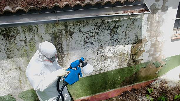 Trusted Crawl Space Mold Removal service in Cockeysville, MD - Cheap Mold Removal